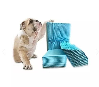 40 Pañales Tipo Sabanillas Mascotas 🐶🐾